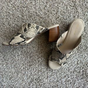 Cole Haan Criss Cross Mule Sandal Snake Print